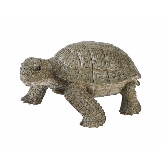 Levensechte speelgoed plastic schildpad 14 cm