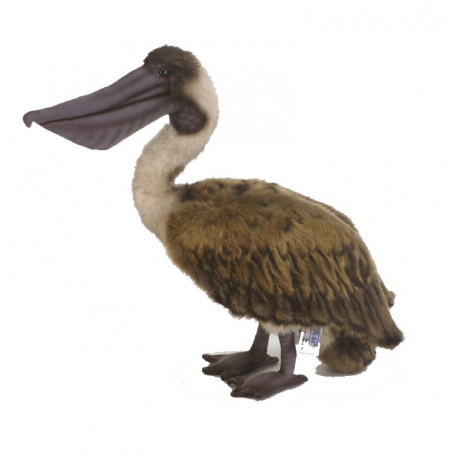 Pluche bruine pelikaan