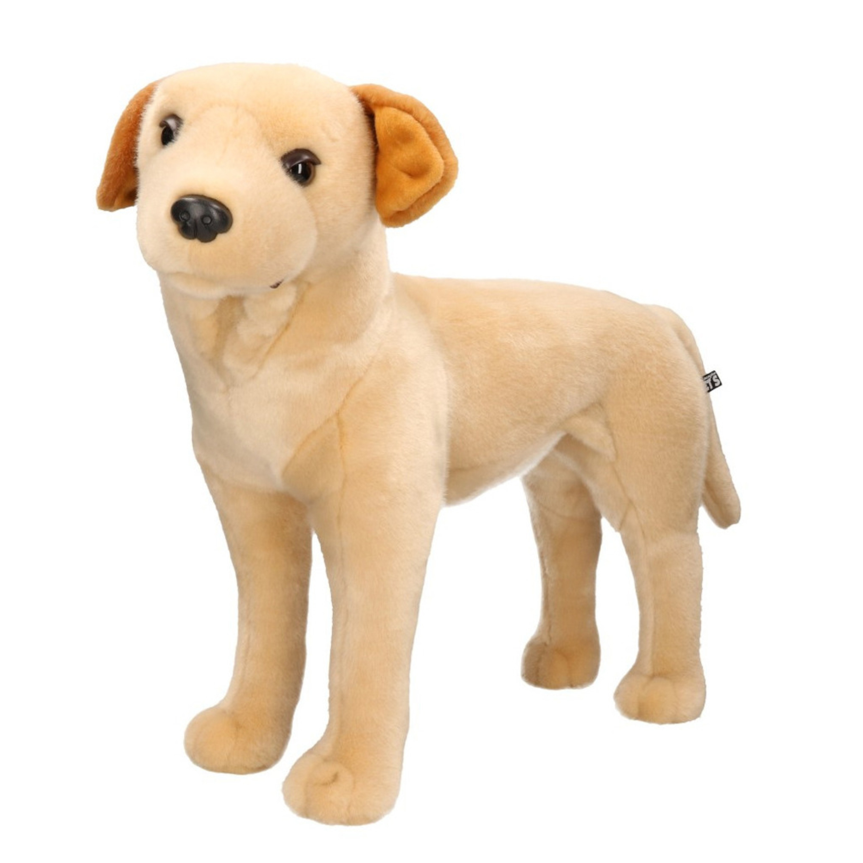 XL Knuffel Labrador hond blond 53 cm knuffels kopen