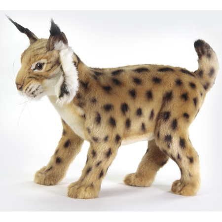 Pluche lynx knuffels 35 cm