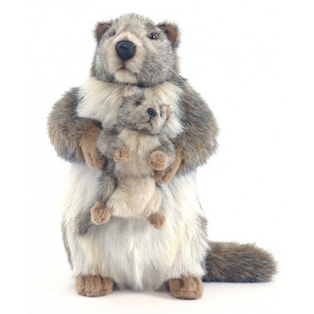 Luxe marmot met baby knuffel 35 cm